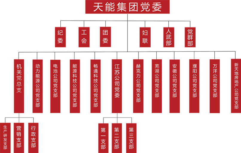 k8凯发建团党委组织架构